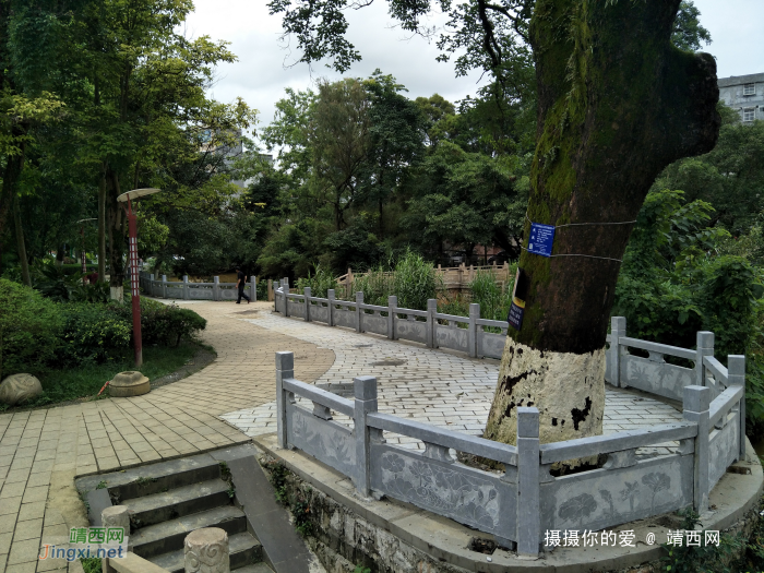 中山公园前木地板和木护栏终于换了 - 靖西网