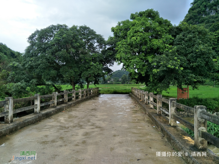 雨游田间地头 - 靖西网