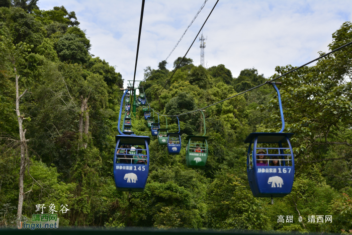 西双版纳旅拍 - 靖西网