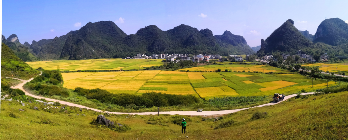 金秋十月，靖西田园美景 - 靖西网