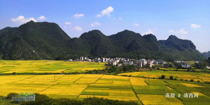 金秋十月，靖西田园美景 - 靖西网