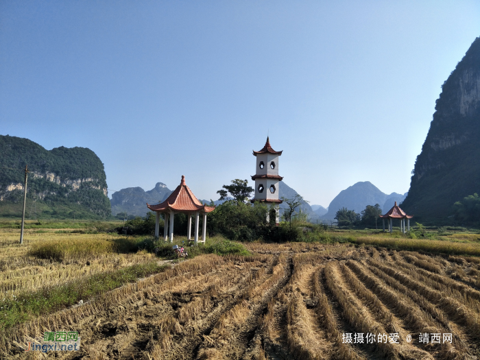 谷拉，我劲骚骚地来了 - 靖西网