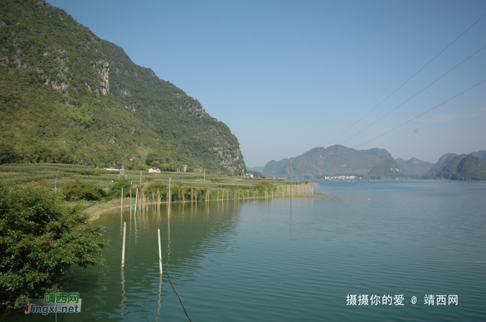 谷拉，我劲骚骚地来了 - 靖西网