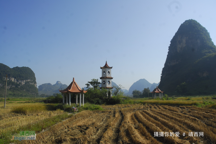 谷拉，我劲骚骚地来了 - 靖西网