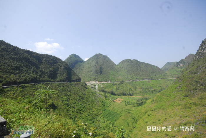 谷拉，我劲骚骚地来了 - 靖西网 - 第2页