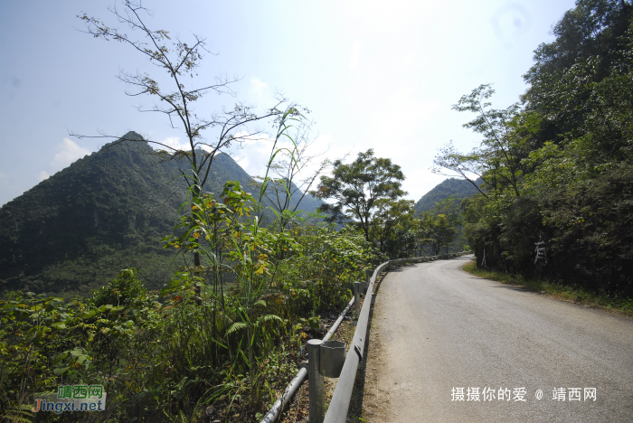 谷拉，我劲骚骚地来了 - 靖西网 - 第2页