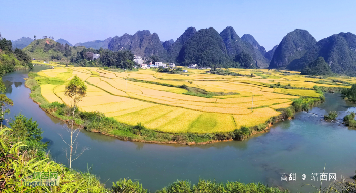 金秋十月，靖西田园美景 - 靖西网