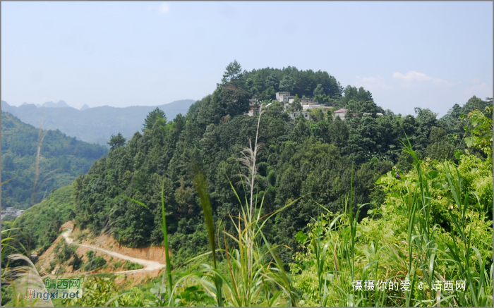 谷拉，我劲骚骚地来了 - 靖西网 - 第3页