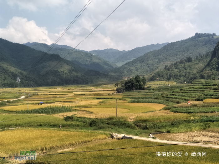 谷拉，我劲骚骚地来了 - 靖西网 - 第3页