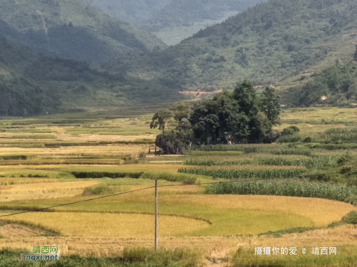 谷拉，我劲骚骚地来了 - 靖西网 - 第3页