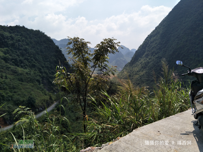 谷拉，我劲骚骚地来了 - 靖西网 - 第3页