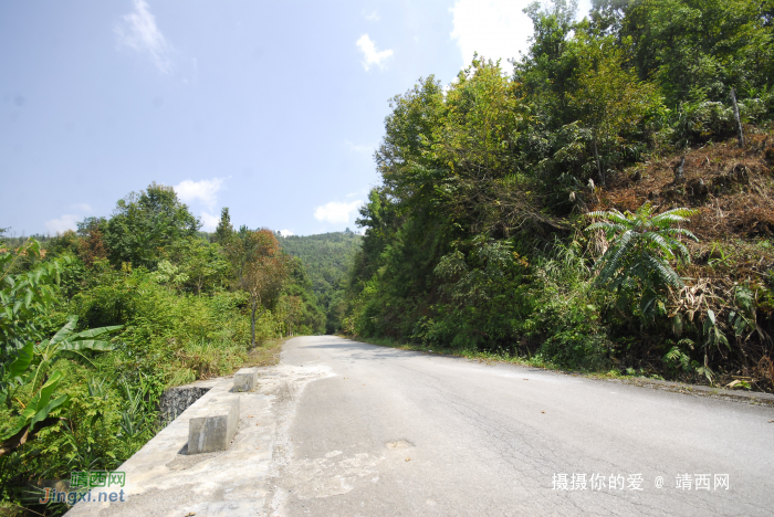 谷拉，我劲骚骚地来了 - 靖西网 - 第4页