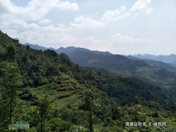 谷拉，我劲骚骚地来了 - 靖西网 - 第6页