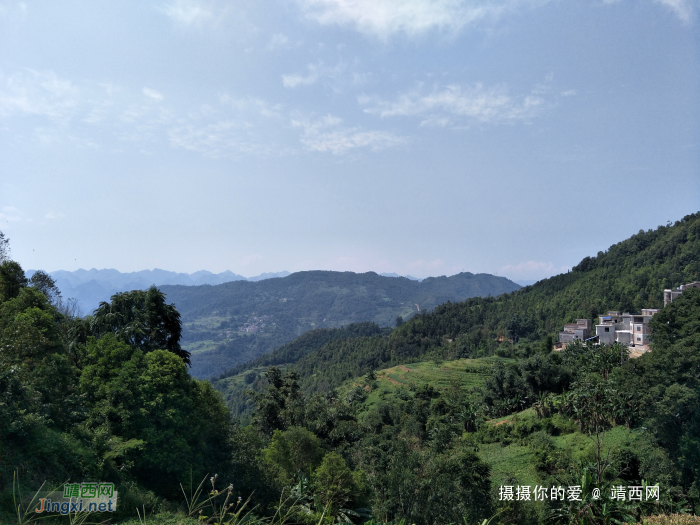 谷拉，我劲骚骚地来了 - 靖西网 - 第7页