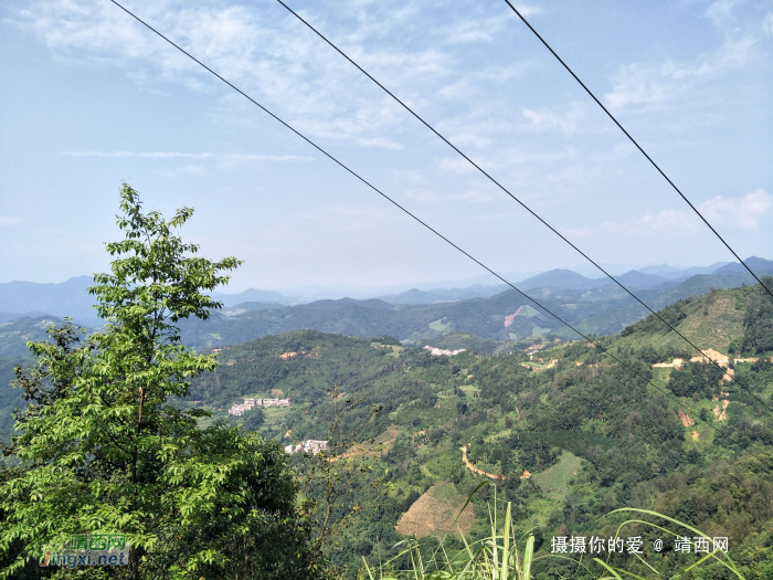 谷拉，我劲骚骚地来了 - 靖西网 - 第8页