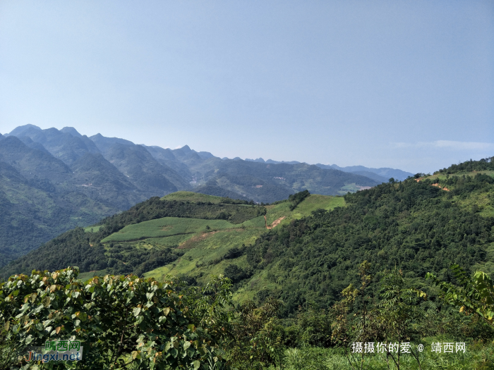 谷拉，我劲骚骚地来了 - 靖西网 - 第8页