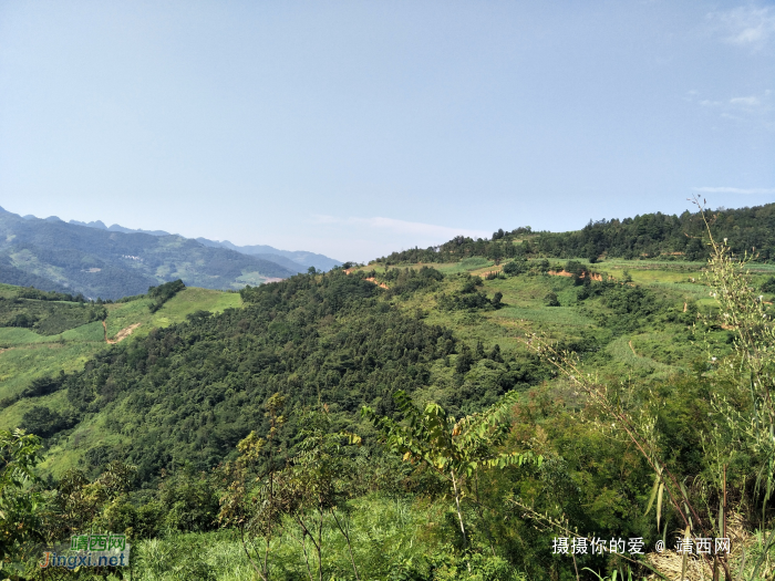 谷拉，我劲骚骚地来了 - 靖西网 - 第8页