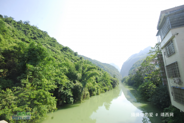 谷拉，我劲骚骚地来了 - 靖西网 - 第10页