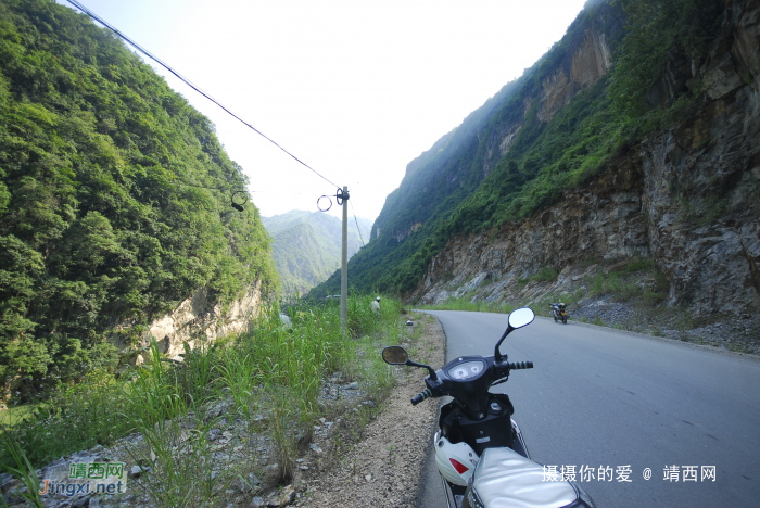 谷拉，我劲骚骚地来了 - 靖西网 - 第10页