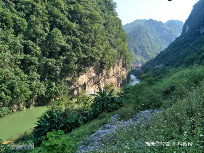 谷拉，我劲骚骚地来了 - 靖西网 - 第10页