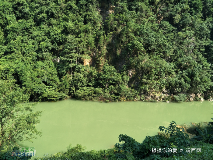 谷拉，我劲骚骚地来了 - 靖西网 - 第10页