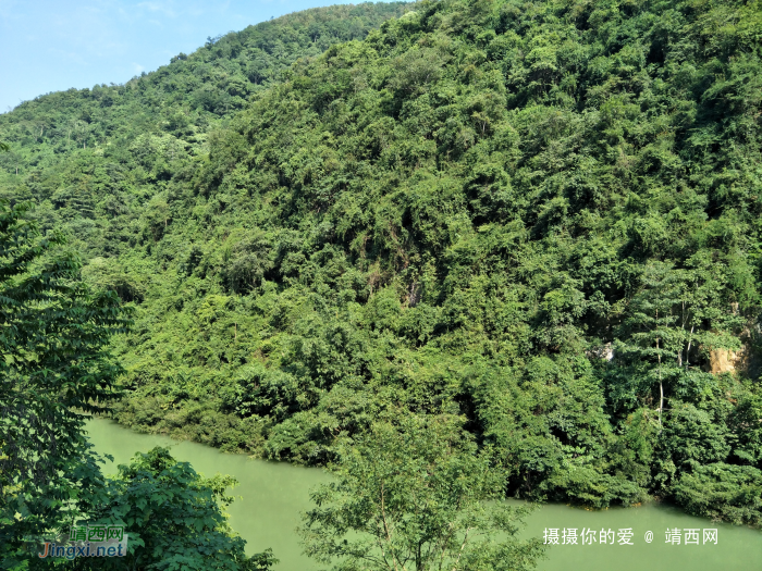 谷拉，我劲骚骚地来了 - 靖西网 - 第10页