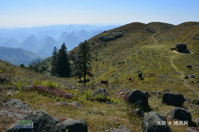 阳光正好，冬游乌鸦山 - 靖西网