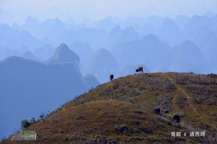 阳光正好，冬游乌鸦山 - 靖西网