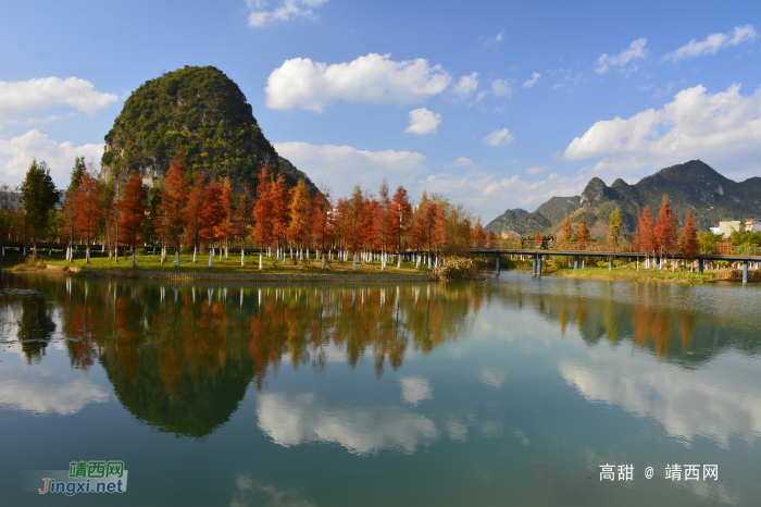 阳光正好，龙潭湿地公园的醉美 - 靖西网