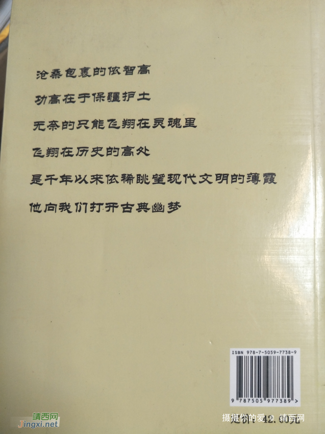 发现这本书，有关侬智高的。 - 靖西网