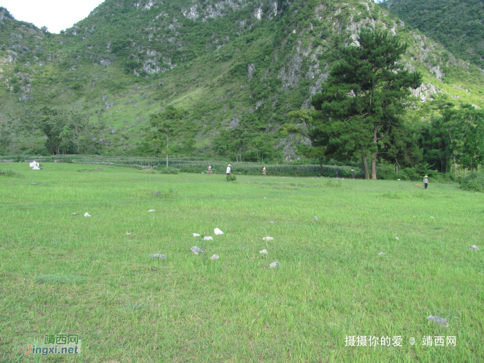 靖西大事件啊，豪车车主和农民抢这玩意! - 靖西网 - 第2页