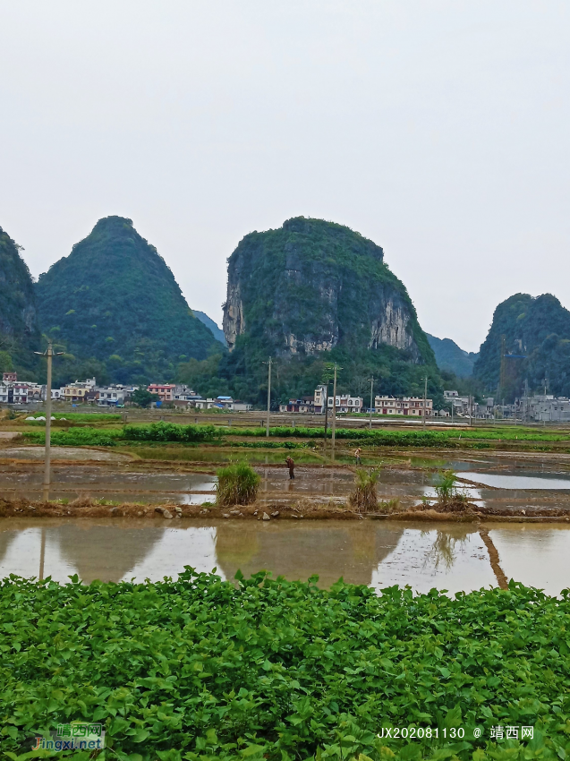 靖西三大景：龙潭，旧州，鹅泉 - 靖西网