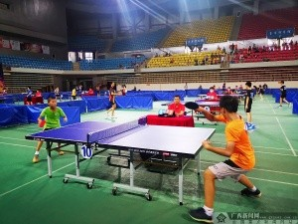2020年柳州市乒乓球锦标赛在李宁体育馆举行 - 靖西网