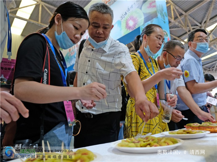 粤桂扶贫协作消费扶贫对接活动在广州举行 百色市共签约27个项目总投资66.71亿元 - 靖西网