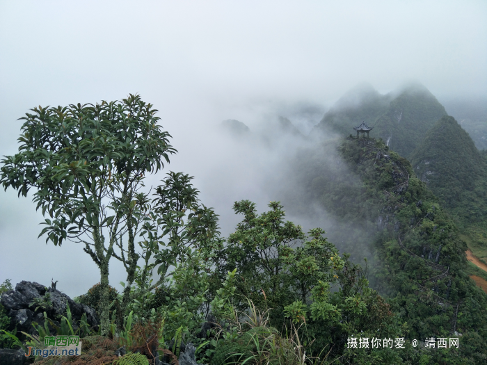 国庆节靖西约炮，这次爽到顶了！ - 靖西网 - 第3页