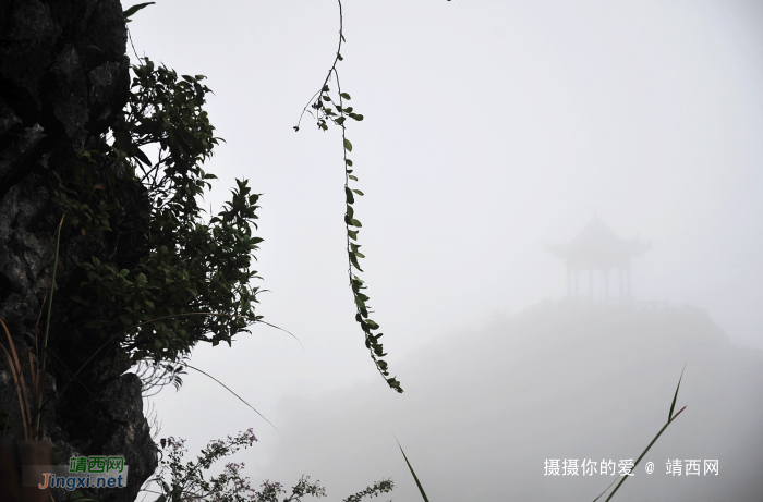 国庆节靖西约炮，这次爽到顶了！ - 靖西网 - 第4页