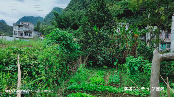 骑车试机 - 靖西网 - 第2页