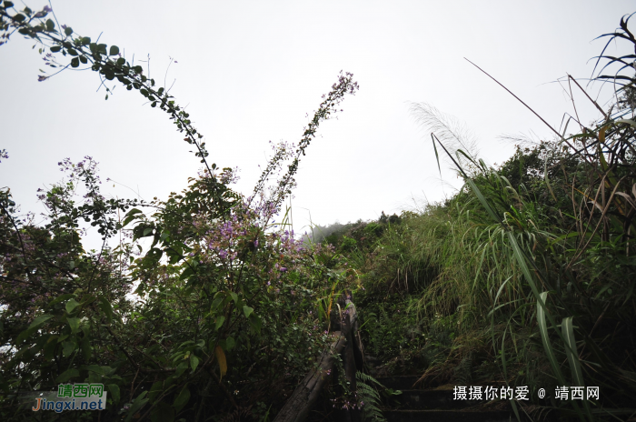 九九登高情怀：补发葛麻炮台下集 - 靖西网