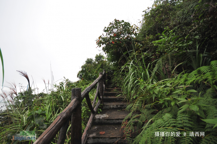 九九登高情怀：补发葛麻炮台下集 - 靖西网