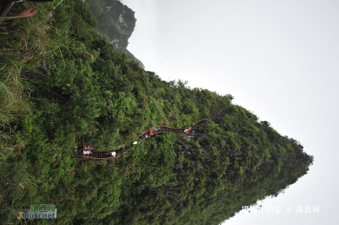 九九登高情怀：补发葛麻炮台下集 - 靖西网 - 第2页