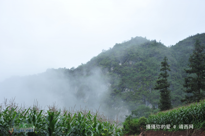 九九登高情怀：补发葛麻炮台下集 - 靖西网