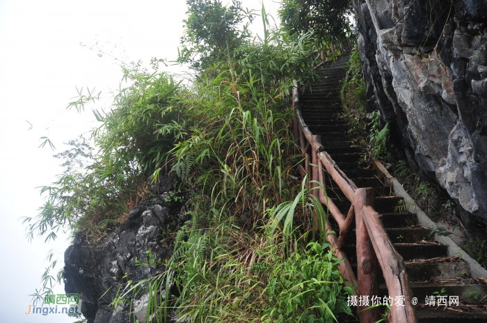 九九登高情怀：补发葛麻炮台下集 - 靖西网