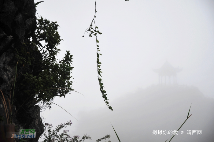 九九登高情怀：补发葛麻炮台下集 - 靖西网