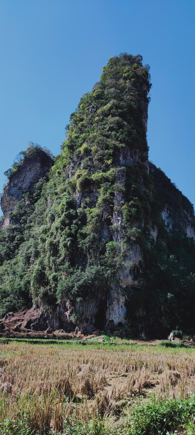 这是靖西的阴山吗？未成年莫入 - 靖西网