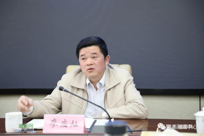 广西农村投资集团有限公司到靖西考察洽谈项目合作 - 靖西网