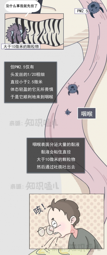 吸入雾霾后，身体会发生什么变化？雾霾进入人体全过程曝光 - 靖西网