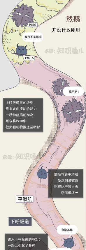 吸入雾霾后，身体会发生什么变化？雾霾进入人体全过程曝光 - 靖西网