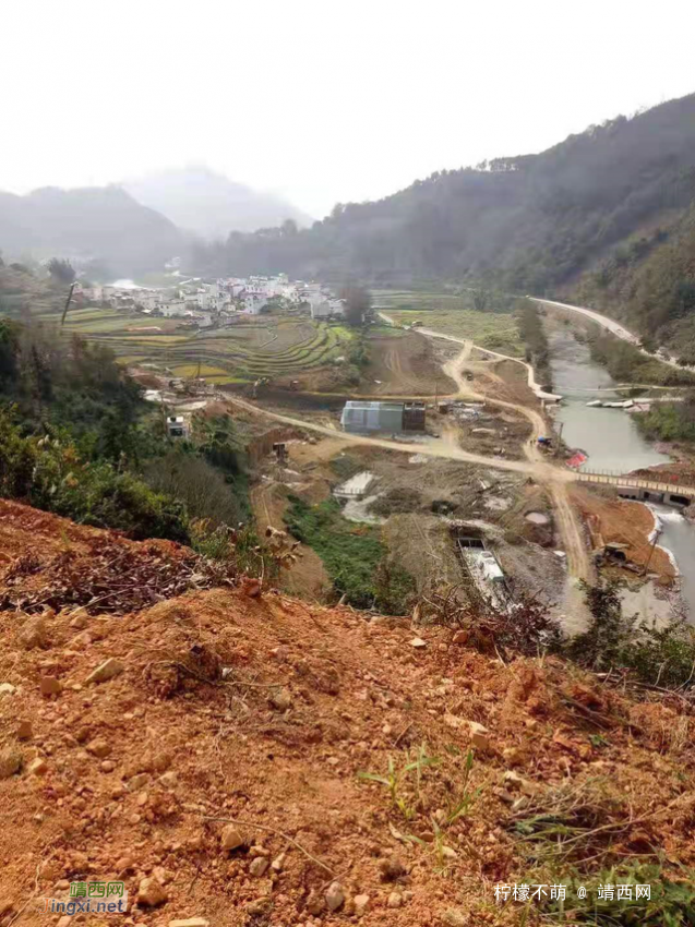 靖西邻县五棵百年古树遭破坏，54户村民状告施工建设方 - 靖西网