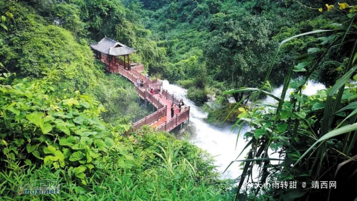 靖西古龙山大峡谷  四峡三洞世界奇观 - 靖西网