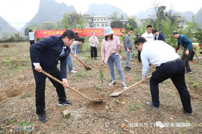 靖西：党史学习重在实践 这两个村党员带头振兴乡村 - 靖西网